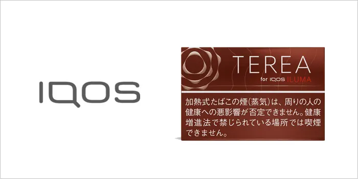 テリア・ボールド・レギュラー