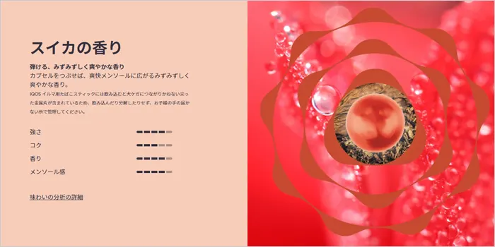 テリアサンパールのイメージ画像