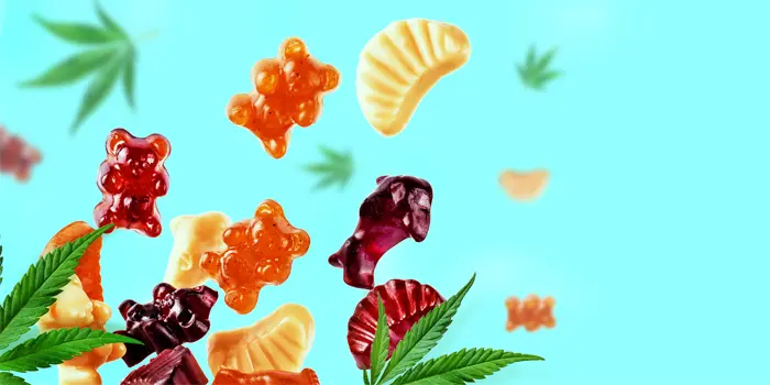 水色の背景にカラフルなクマのグミと麻の葉