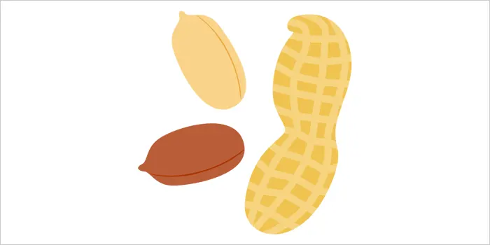 ピーナッツのイラスト