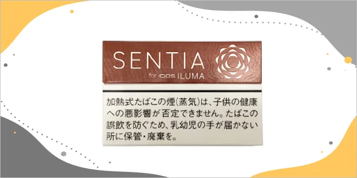 センティアのレギュラーフレーバー画像