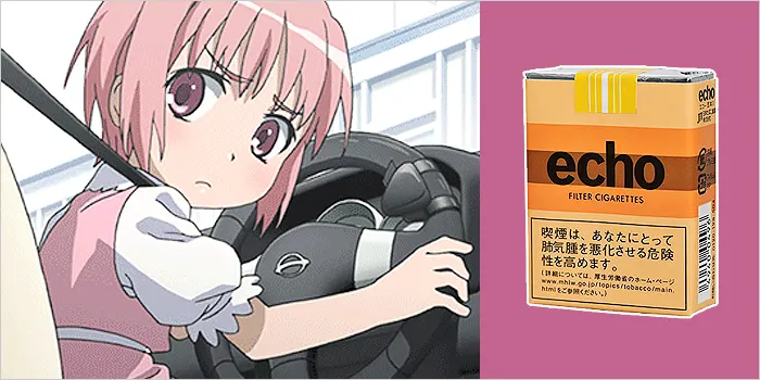 【とある科学の禁書目録】月詠小萌×エコー