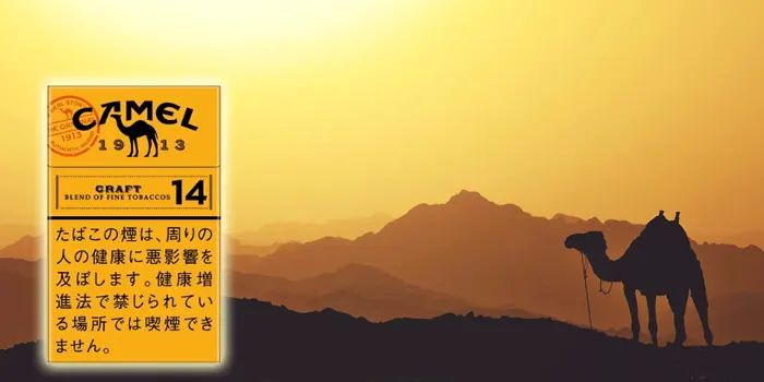販売中キャメルのレギュラー