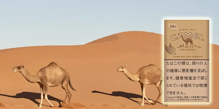 販売中キャメルの手巻きタバコ